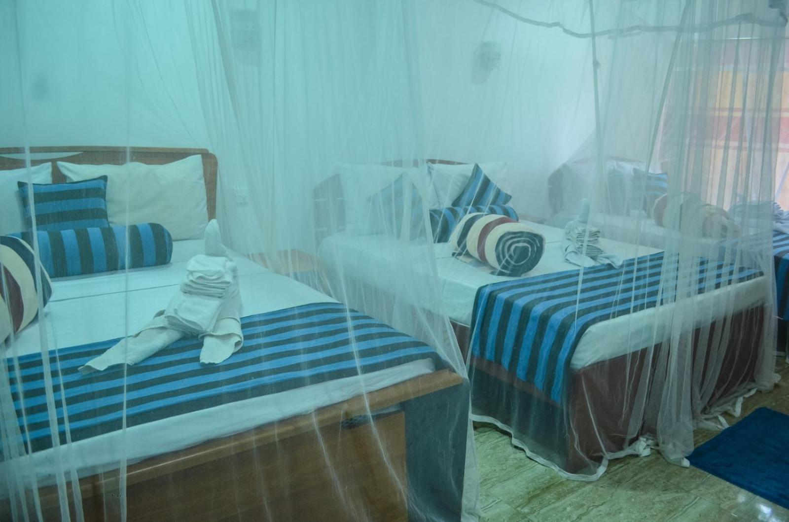 New Blue Home Ella Ngoại thất bức ảnh