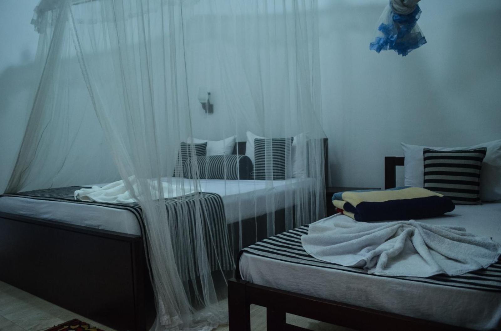 New Blue Home Ella Ngoại thất bức ảnh