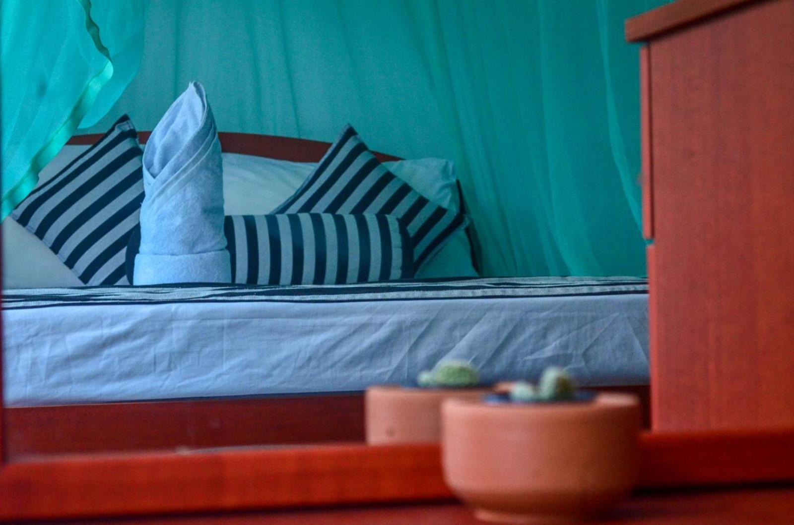 New Blue Home Ella Ngoại thất bức ảnh
